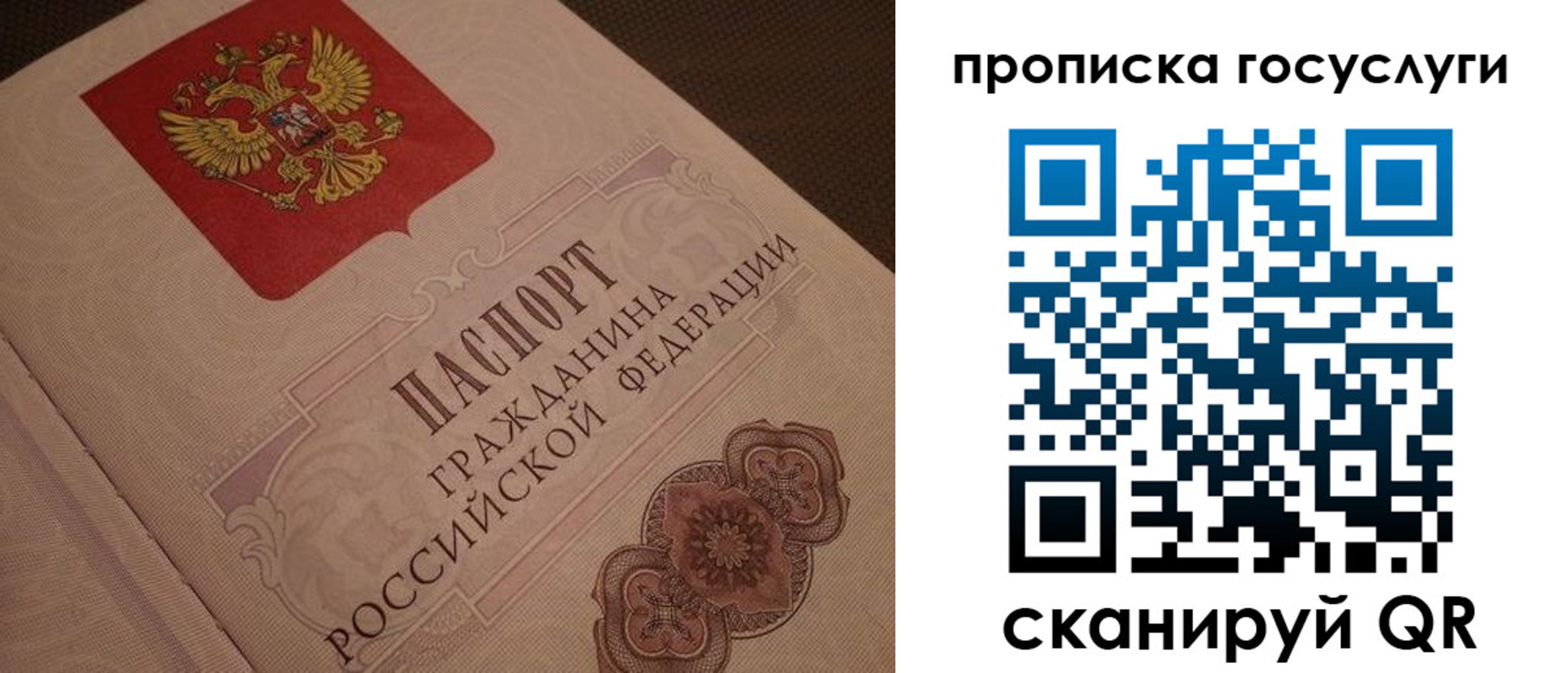 прописка для работы в Зеленоградске